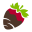 Berries
